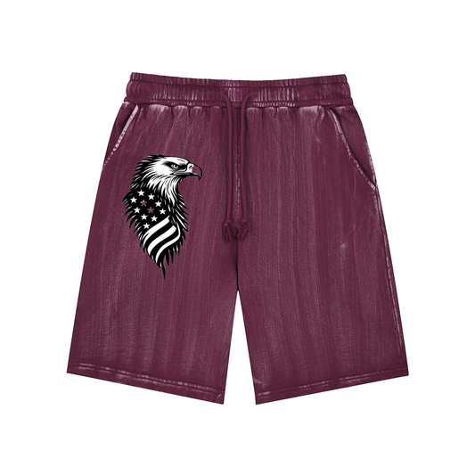 Distressed Wash Shorts L-5577